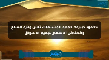 «جهود كبيرة» حماية المستهلك تعلن وفرة السلع وانخفاض الأسعار بجميع الأسواق